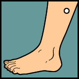 Diagram 36