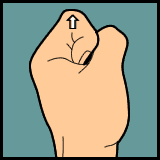 Knuckle