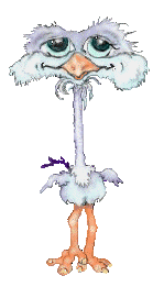 bird
