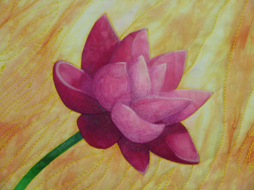 lotus detail