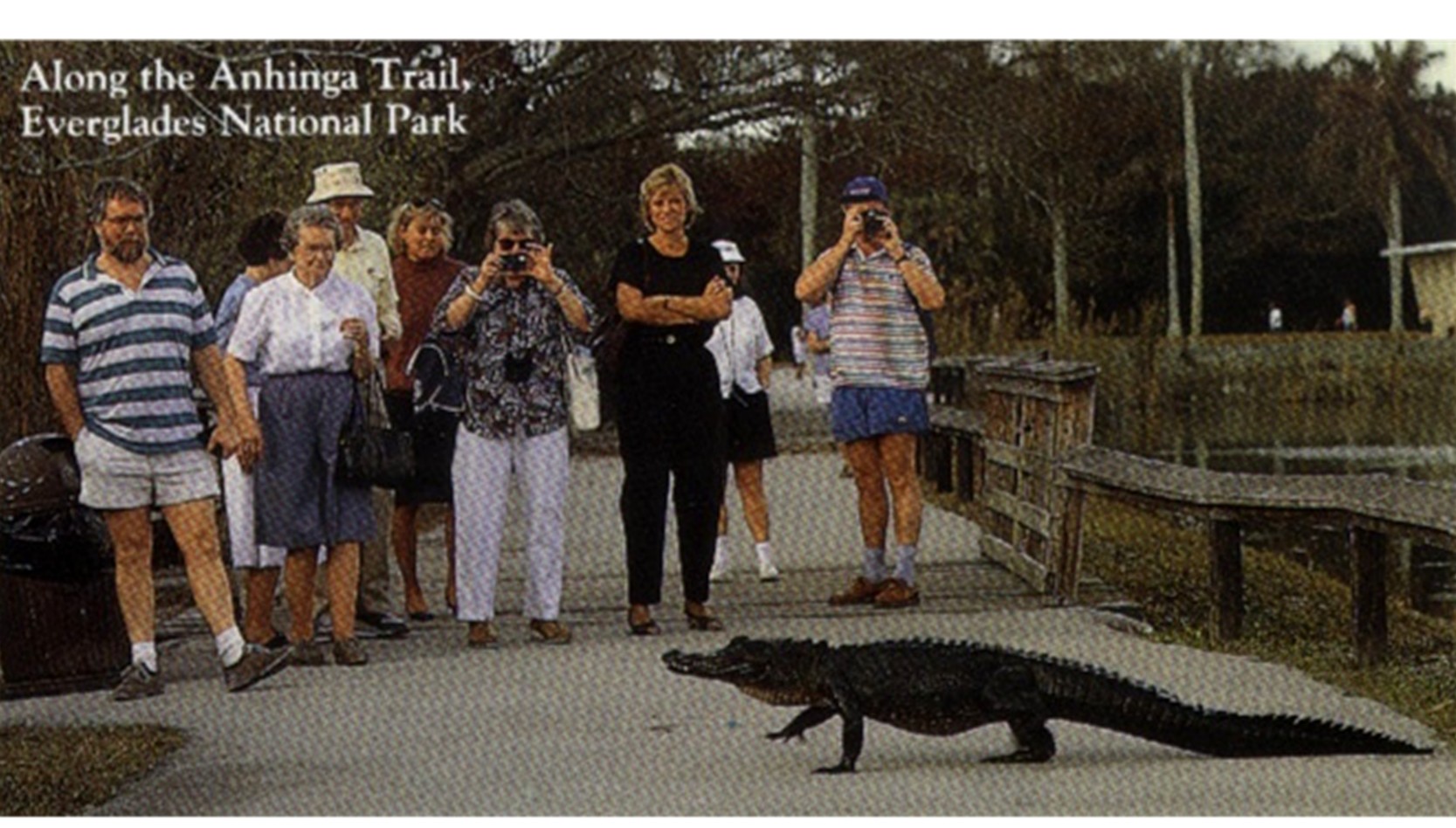 As long as we keep our distance between us and gators and crocs, we should all be fine.