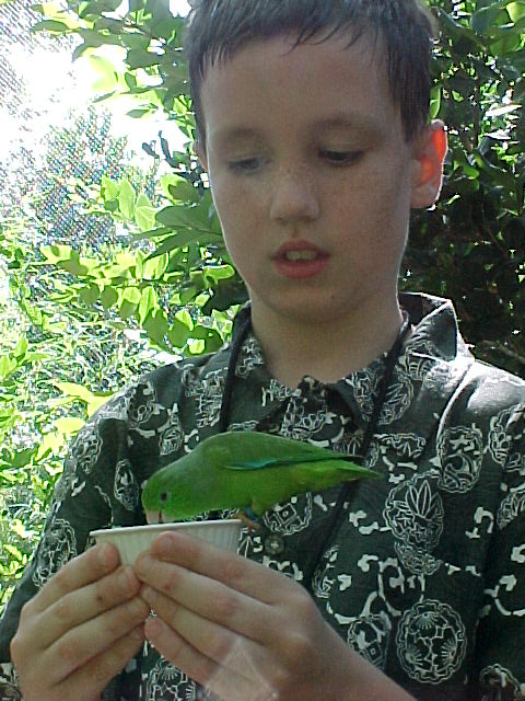 Some times it is neat to get up close to them. You can learn more that way.