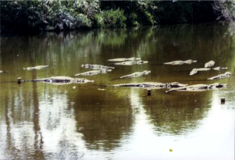 Don't swim in this lake.