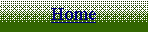 Text Box: Home