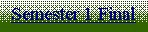Text Box: Semester 1 Final