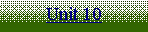 Text Box: Unit 10