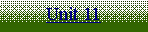 Text Box: Unit 11