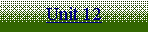 Text Box: Unit 12
