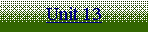 Text Box: Unit 13