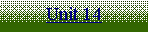 Text Box: Unit 14