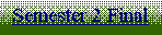 Text Box: Semester 2 Final