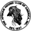 The Afghan hound club of America