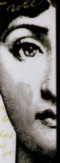 bd2a.jpg (16655 bytes)