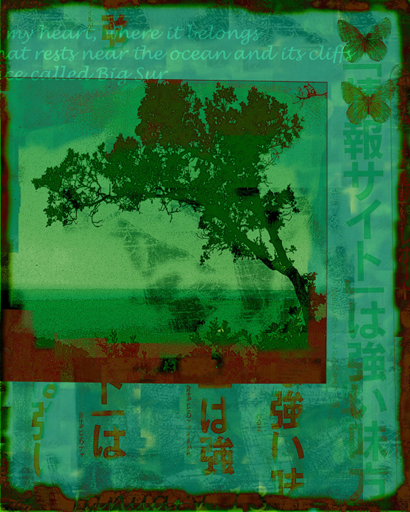 Wind