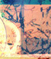 Homepage 08