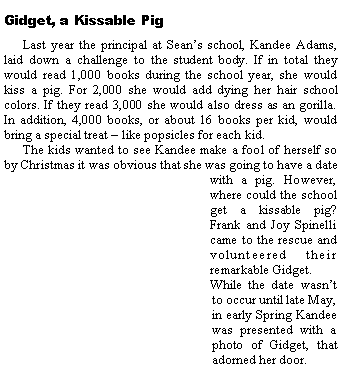 Text Box: Gidget, a Kissable PigLast year the principal at Sean�s school, Kandee Adams, laid down a challenge to the student body. If in total they would read 1,000 books during the school year, she would kiss a pig. For 2,000 she would add dying her hair school colors. If they read 3,000 she would also dress as an gorilla. In addition, 4,000 books, or about 16 books per kid, would bring a special treat � like popsicles for each kid. The kids wanted to see Kandee make a fool of herself so by Christmas it was obvious that she was going to have a date with a pig. However, where could the school get a kissable pig? Frank and Joy Spinelli came to the rescue and volunteered their remarkable Gidget. While the date wasn�t to occur until late May, in early Spring Kandee was presented with a photo of Gidget, that adorned her door. 