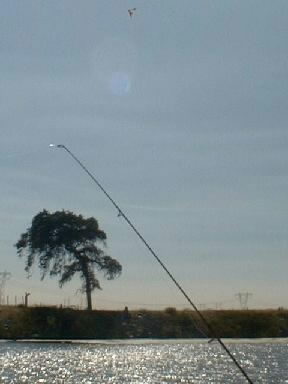 Fishing on the Delta