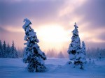 Winters