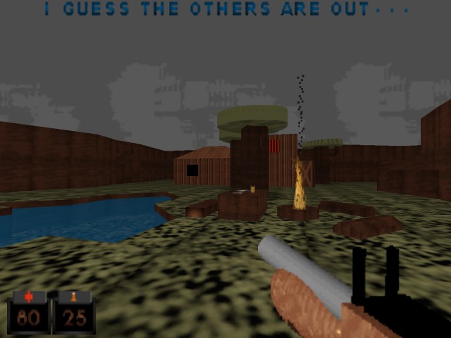 Survival at around 2001