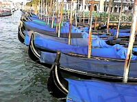Covered gondolas