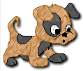 doggy