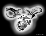 Link To Mike's Marine Page