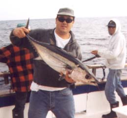 albie06.jpg - 56205 Bytes
