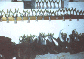 pducer.gif - 34311 Bytes