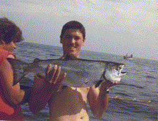 salmon.gif - 17545 Bytes