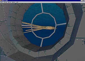 Giant Squid
