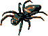 Boris