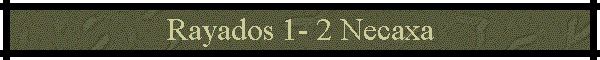 Rayados 1- 2 Necaxa