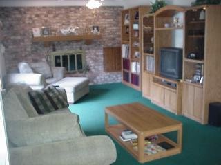 Family room - perfect for chilling!