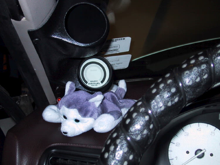 Air/fuel meter, and my sidekick Nanook