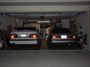 Baby's got back!
