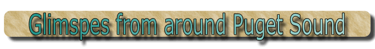 Local Glimpses Home Page