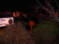 A view from Joyland