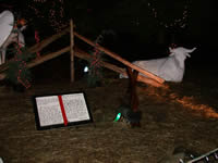 Click to enlarge More Nativity
