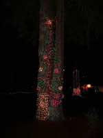 Designs on trees