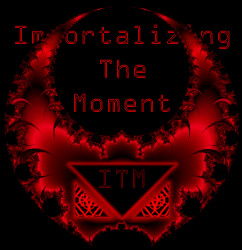 Imortalizing The Moment