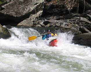 Dagger Ovation making a splash