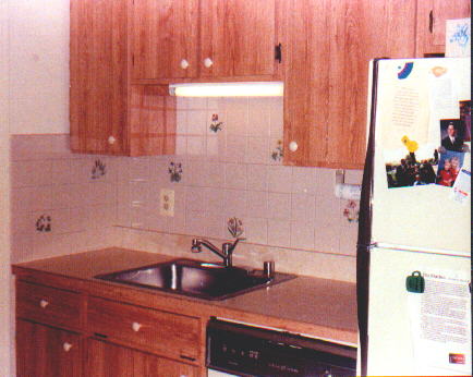 Image of splash.jpg