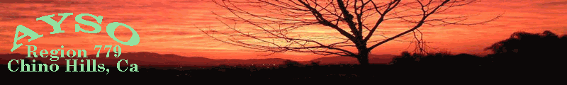 CHBANNER (99K)