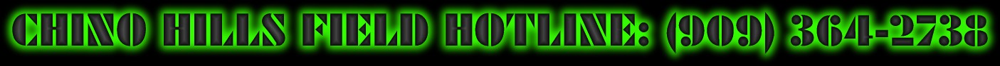 coollogo_com_229296392 (38K)