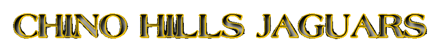 jaguars_banner (14K)