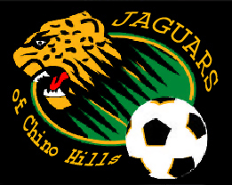 jaguarslogo (91K)