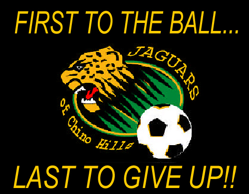 logo_first_to_ball (197K)