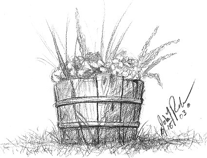 Planter Barrel