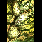 Rocks: Depth