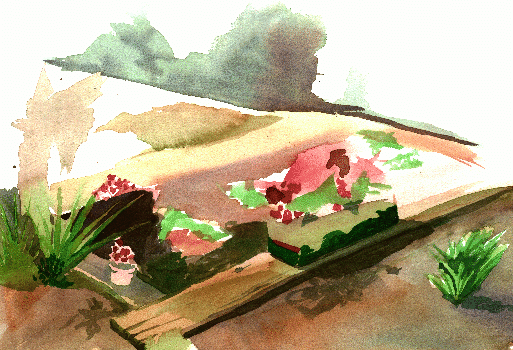 Teachers Garden: Light and Shadow
